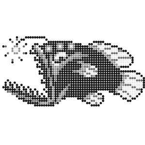 魚系