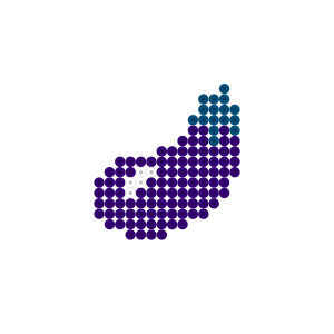 ナス