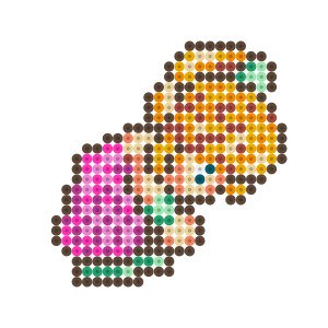 プリム
