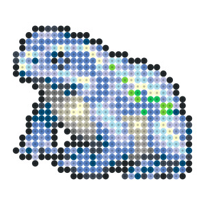 フースーヤ