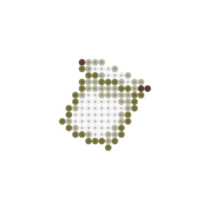 旗の模様