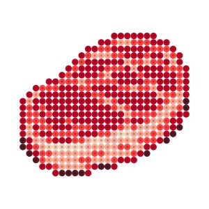 ステーキ肉