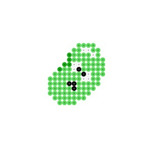 ソラマメ