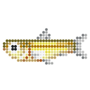 ワカサギ
