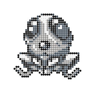 メノクラゲ