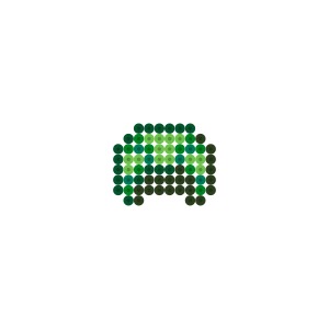 カメの甲羅