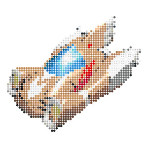 クレイジーホース