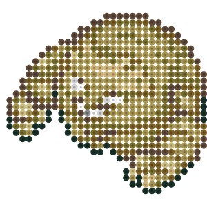 ゴローン