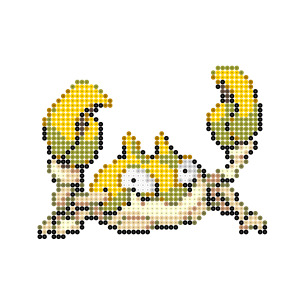 クラブ