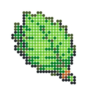 しその葉