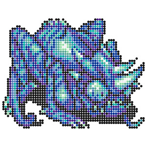 カトブレパス
