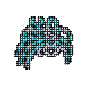 ブラックウィドウ