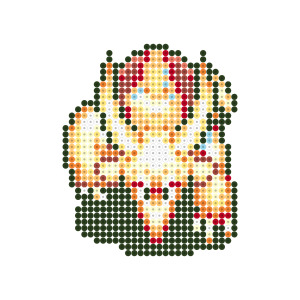 ドロクイR