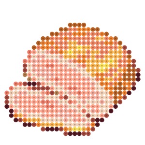 ベーコン
