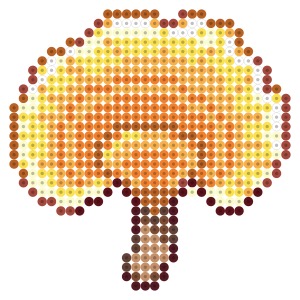 マンネンタケ