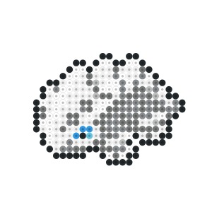 コドラ