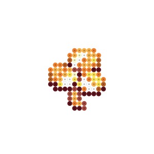 金のクローバー
