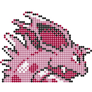 ニドリーノ