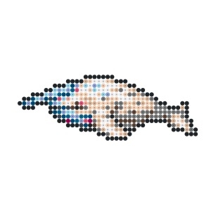 海の主の娘