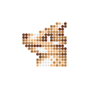 秘孔