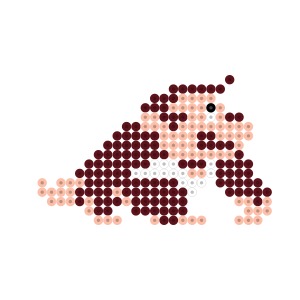 ジュニア