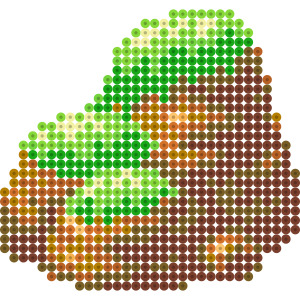 岩