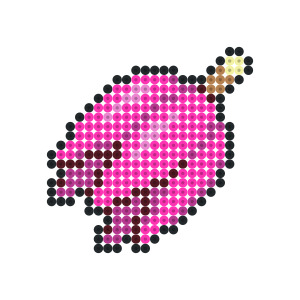 カシブのみ