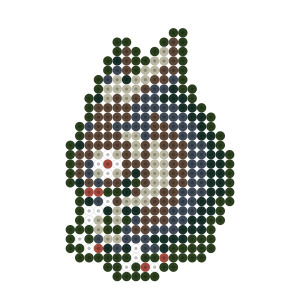 まるまじボンバー