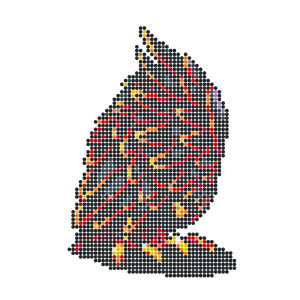 ウイングラプター