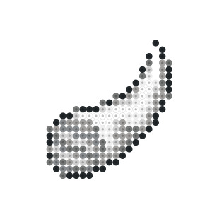 ドラゴンタイプ