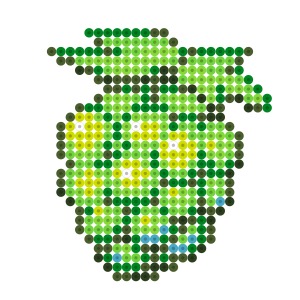 マスカット