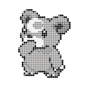 ヒメグマ
