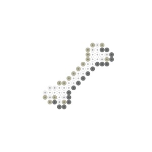骨