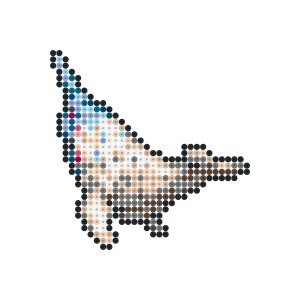 海の主の娘