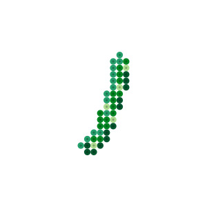 胡瓜