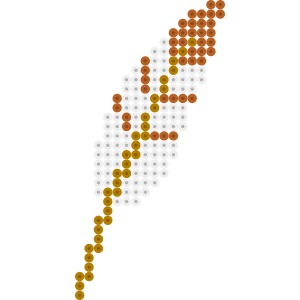 羽根