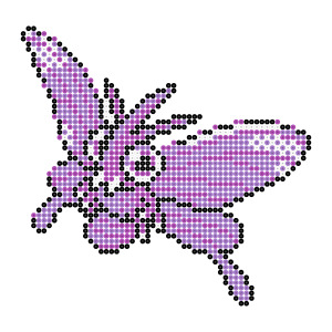 モルフォン