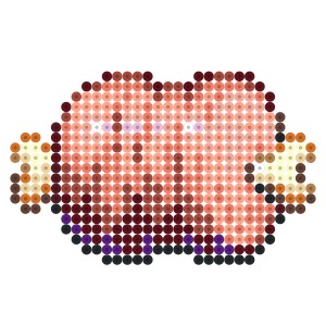 原始肉