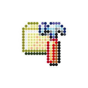 フォルダオプション