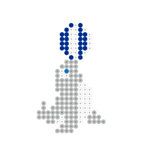 アシカ