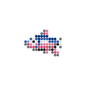 オイカワ