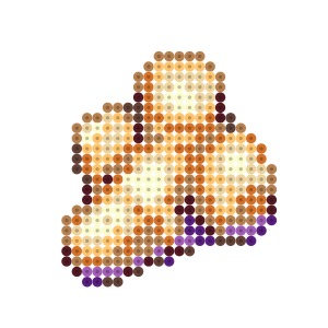 しょうが