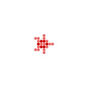 ひとで