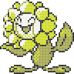キマワリ