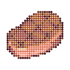 ステーキ肉