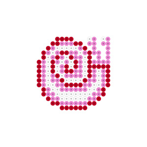 カルゴ