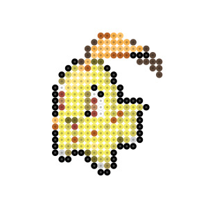 チコリータ