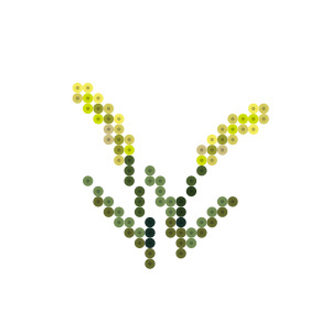 えのころぐさ