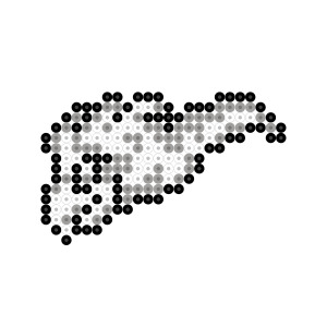 モーラ