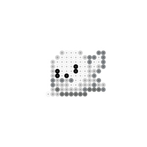 アザラシ